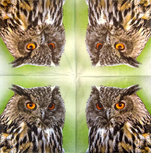 116 Owls - ply - Kalamazoo - CS - 24x24cm